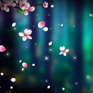 Meet your Posher, Felecia